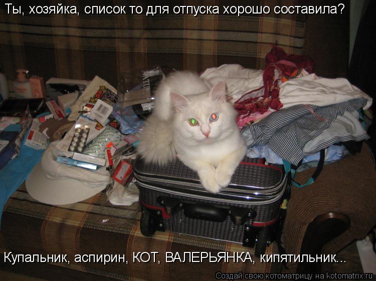 Ты, хозяйка, список то для отпуска хорошо составила? Купальник, аспирин, КОТ, ВАЛЕРЬЯНКА, кипятильник... Котоматрица: Ты, хозяйка, список то для отпуска хорошо составила? Купальник, аспирин, КОТ, ВАЛЕРЬЯНКА, кипятильник...