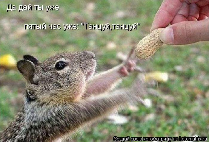 Да дай ты уже пятый час уже: "Танцуй,танцуй"... Котоматрица: Да дай ты уже пятый час уже: "Танцуй,танцуй"