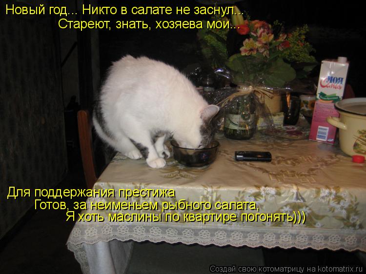 Новый год... Никто в салате не заснул... Стареют, знать, хозяева мои... Для поддержания престижа Гот... Котоматрица: Новый год... Никто в салате не заснул... Стареют, знать, хозяева мои... Для поддержания престижа Готов, за неименьем рыбного салата, Я хоть мас