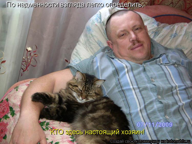 По надменности взгляда легко определить, КТО здесь настоящий хозяин!... Котоматрица: По надменности взгляда легко определить, КТО здесь настоящий хозяин!