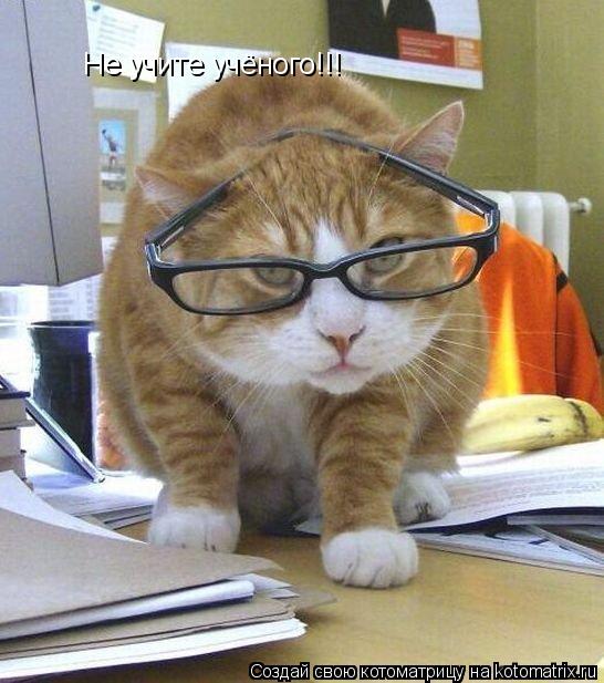 Не учите учёного!!! Не учите учёного!!!... Котоматрица: Не учите учёного!!! Не учите учёного!!!