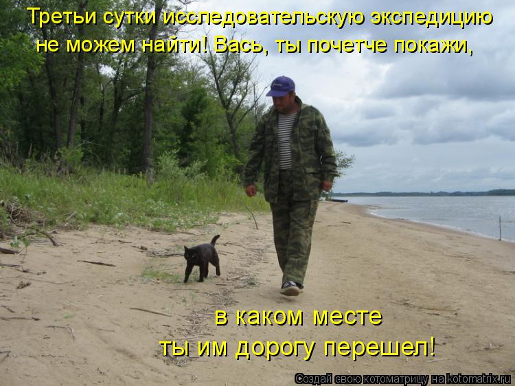 Третьи сутки исследовательскую экспедицию не можем найти! Вась, ты почетче покажи, в каком месте ты и... Котоматрица: Третьи сутки исследовательскую экспедицию не можем найти! Вась, ты почетче покажи, в каком месте ты им дорогу перешел!