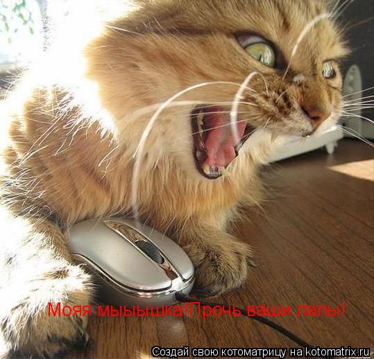 Мояя мыыышка!Прочь ваши лапы!... Котоматрица: Мояя мыыышка!Прочь ваши лапы!