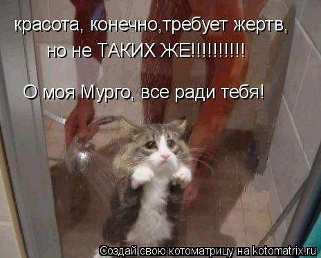 красота, конечно,требует жертв, но не ТАКИХ ЖЕ!!!!!!!!!! О моя Мурго, все ради тебя!... Котоматрица: красота, конечно,требует жертв, но не ТАКИХ ЖЕ!!!!!!!!!! О моя Мурго, все ради тебя!