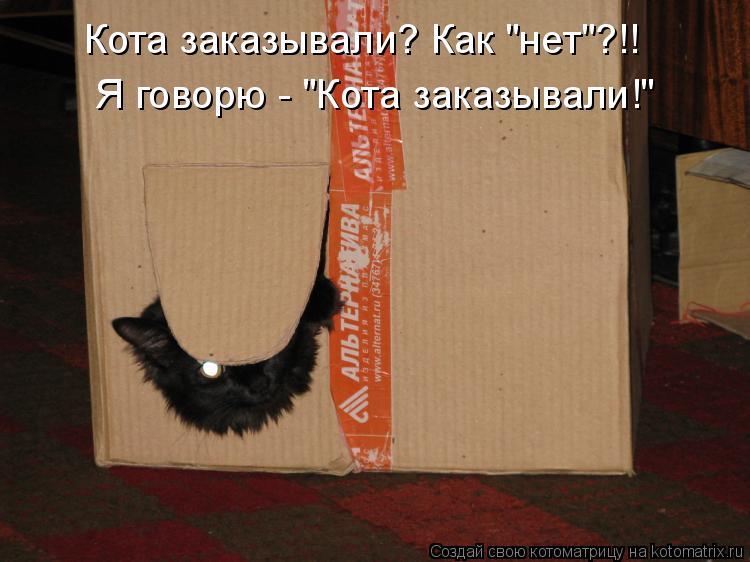 Кота заказывали? Как "нет"?!! Я говорю - "Кота заказывали!"... Котоматрица: Кота заказывали? Как "нет"?!! Я говорю - "Кота заказывали!"