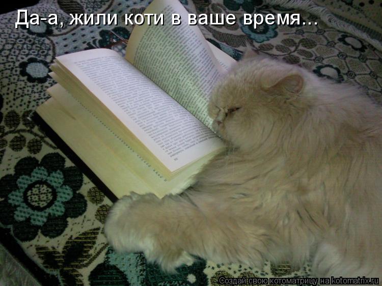 Да-а, жили коти в ваше время...... Котоматрица: Да-а, жили коти в ваше время...