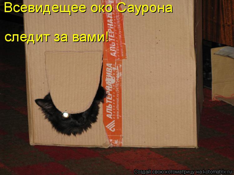 Всевидещее око Саурона следит за вами!... Котоматрица: Всевидещее око Саурона следит за вами!