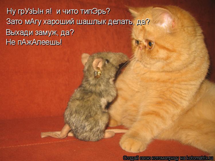 Ну грУзЫн я! и чито типЭрь? Зато мАгу хароший шашлык делать, да? Выхади замуж, да? Не пАжАлеешь!... Котоматрица: Ну грУзЫн я! и чито типЭрь? Зато мАгу хароший шашлык делать, да? Выхади замуж, да? Не пАжАлеешь!