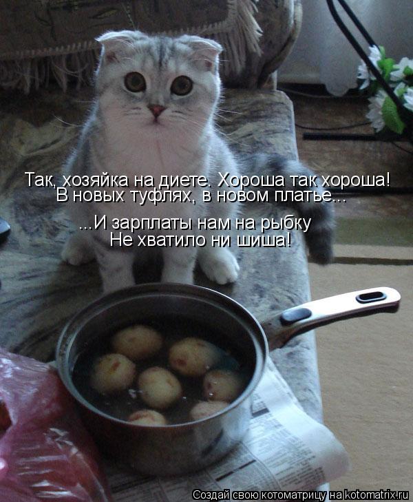 Так, хозяйка на диете. Хороша так хороша! ...И зарплаты нам на рыбку Не хватило ни шиша! В новых туфл... Котоматрица: Так, хозяйка на диете. Хороша так хороша! ...И зарплаты нам на рыбку Не хватило ни шиша! В новых туфлях, в новом платье...