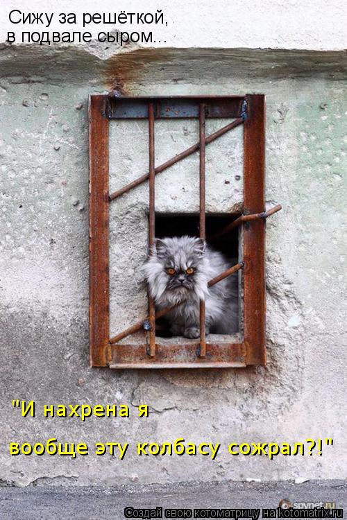 Сижу за решёткой, в подвале сыром... "И нахрена я вообще эту колбасу сожрал?!"... Котоматрица: Сижу за решёткой, в подвале сыром... "И нахрена я вообще эту колбасу сожрал?!"