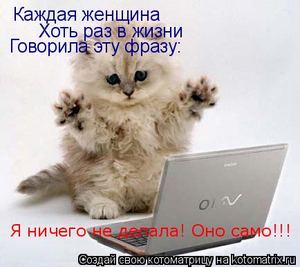 Каждая женщина Хоть раз в жизни Говорила эту фразу: Я ничего не делала! Оно само!!!... Котоматрица: Каждая женщина Хоть раз в жизни Говорила эту фразу: Я ничего не делала! Оно само!!!