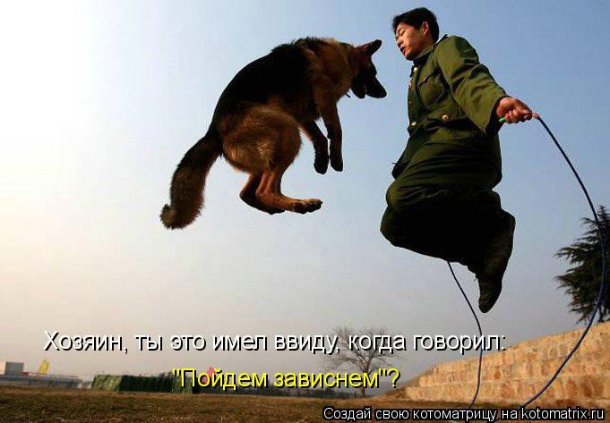 Хозяин, ты это имел ввиду, когда говорил: "Пойдем зависнем"?... Котоматрица: Хозяин, ты это имел ввиду, когда говорил: "Пойдем зависнем"?