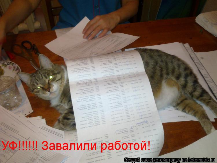 УФ!!!!!! Завалили работой!... Котоматрица: УФ!!!!!! Завалили работой!