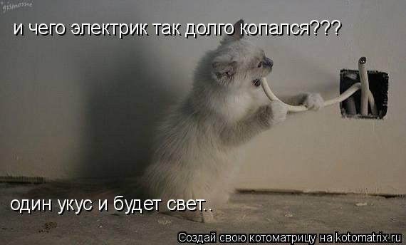 и чего электрик так долго копался??? один укус и будет свет..... Котоматрица: и чего электрик так долго копался??? один укус и будет свет..
