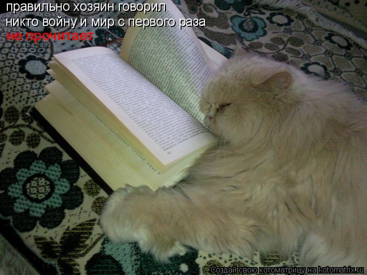 правильно хозяин говорил никто войну и мир с первого раза не прочитает... Котоматрица: правильно хозяин говорил никто войну и мир с первого раза не прочитает