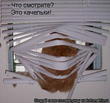 - Что смотрите? Это качельки!..... Котоматрица: - Что смотрите? Это качельки!..