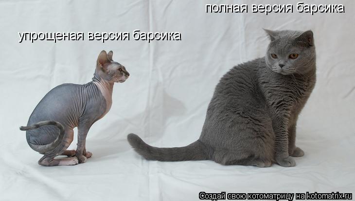 полная версия барсика упрощеная версия барсика... Котоматрица: полная версия барсика упрощеная версия барсика