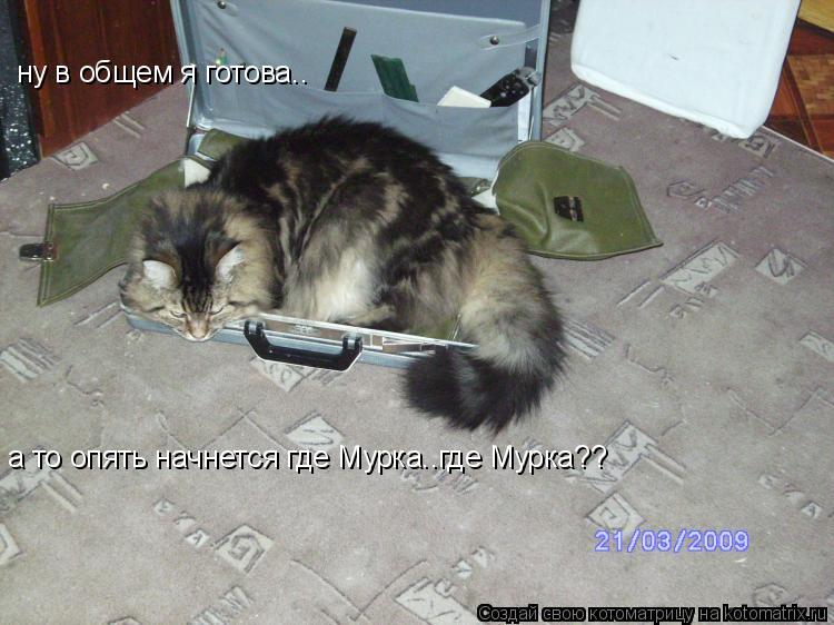 ну в общем я готова.. а то опять начнется где Мурка..где Мурка??... Котоматрица: ну в общем я готова.. а то опять начнется где Мурка..где Мурка??