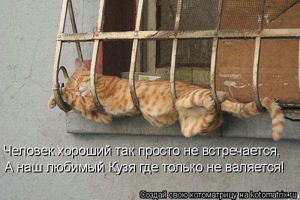 Человек хороший так просто не встречается, А наш любимый Кузя где только не валяется!... Котоматрица: Человек хороший так просто не встречается, А наш любимый Кузя где только не валяется!