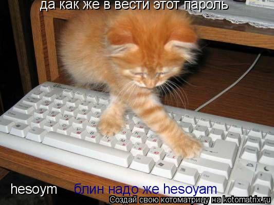 да как же в вести этот пароль hesoym блин надо же hesoyam... Котоматрица: да как же в вести этот пароль hesoym блин надо же hesoyam