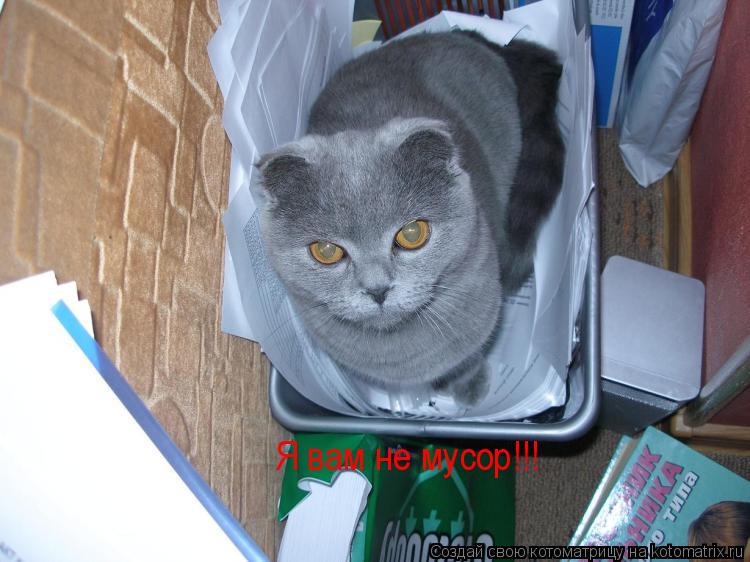 Я вам не мусор!!!... Котоматрица: Я вам не мусор!!!