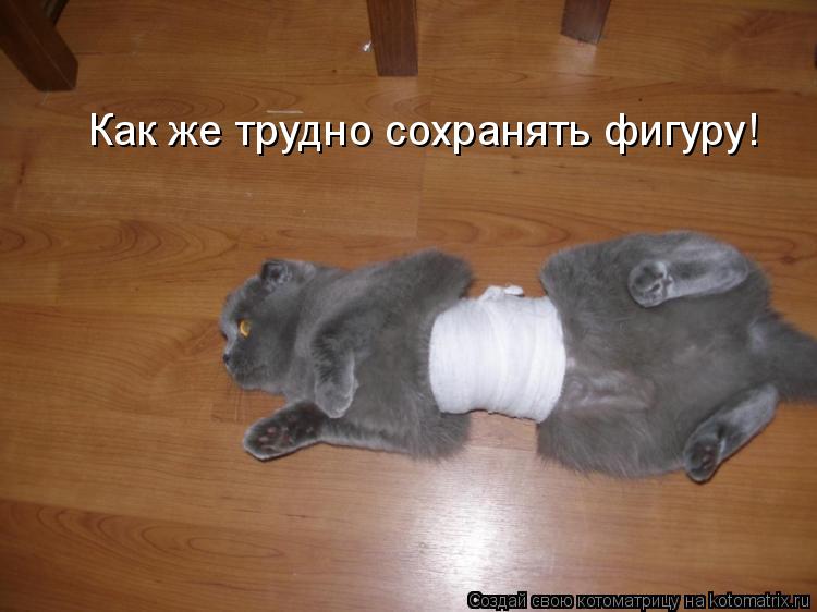 Как же трудно сохранять фигуру!... Котоматрица: Как же трудно сохранять фигуру!