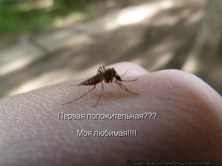 Котоматрица: Первая положительная??? Моя любимая!!!!