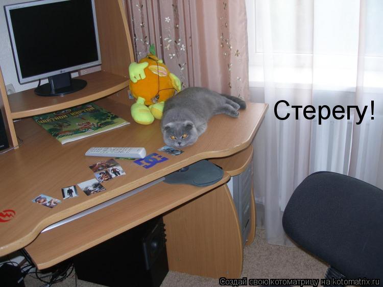 Стерегу!... Котоматрица: Стерегу!