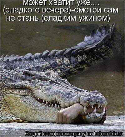 может хватит уже.... (сладкого вечера)-смотри сам не стань (сладким ужином)... Котоматрица: может хватит уже.... (сладкого вечера)-смотри сам не стань (сладким ужином)