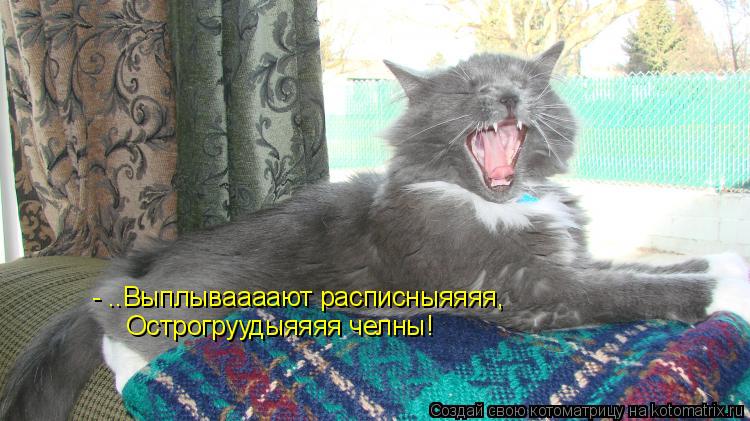 - ..Выплываааают расписныяяяя, Острогруудыяяяя челны!... Котоматрица: - ..Выплываааают расписныяяяя, Острогруудыяяяя челны!
