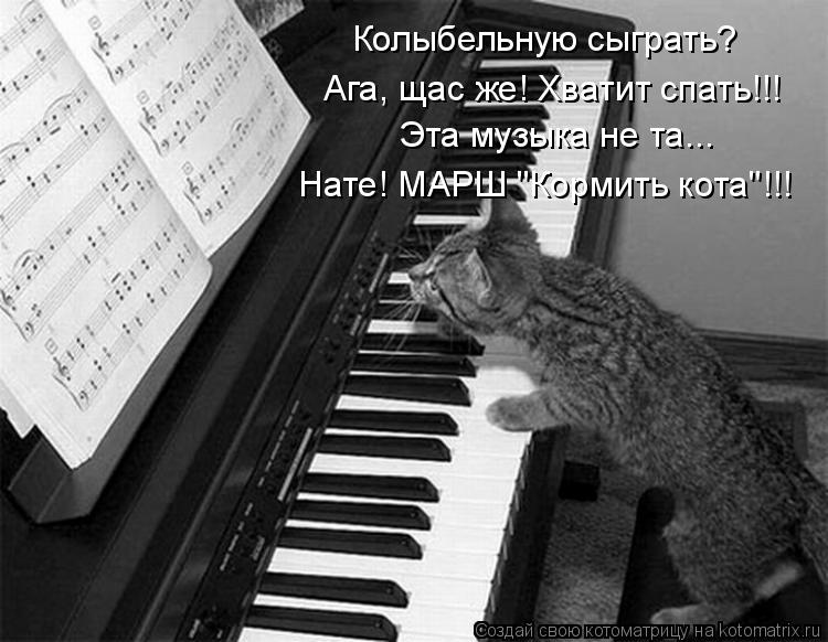 Колыбельную сыграть? Ага, щас же! Хватит спать!!! Эта музыка не та... Нате! МАРШ "Кормить кота"!!!... Котоматрица: Колыбельную сыграть? Ага, щас же! Хватит спать!!! Эта музыка не та... Нате! МАРШ "Кормить кота"!!!