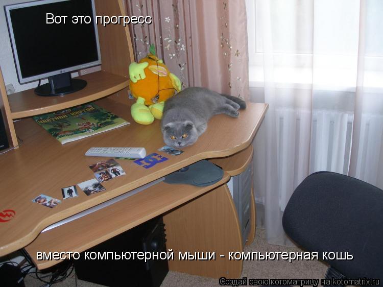 Прогресс: вместо компьютерной мыши - компьютерная кошь вместо компьютерной мыши - компьютерная кошь ... Котоматрица: Прогресс: вместо компьютерной мыши - компьютерная кошь вместо компьютерной мыши - компьютерная кошь Вот это прогресс