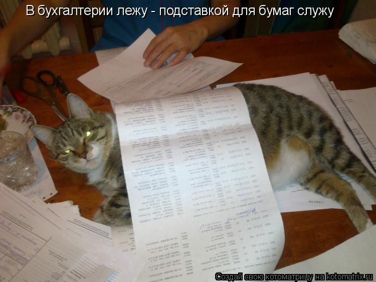 В бухгалтерии лежу - подставкой для бумаг служу... Котоматрица: В бухгалтерии лежу - подставкой для бумаг служу