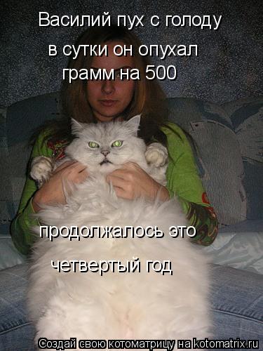 Василий пух с голоду в сутки он опухал грамм на 500 продолжалось это четвертый год... Котоматрица: Василий пух с голоду в сутки он опухал грамм на 500 продолжалось это четвертый год