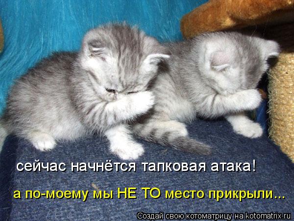сейчас начнётся тапковая атака! а по-моему мы НЕ ТО место прикрыли...... Котоматрица: сейчас начнётся тапковая атака! а по-моему мы НЕ ТО место прикрыли...