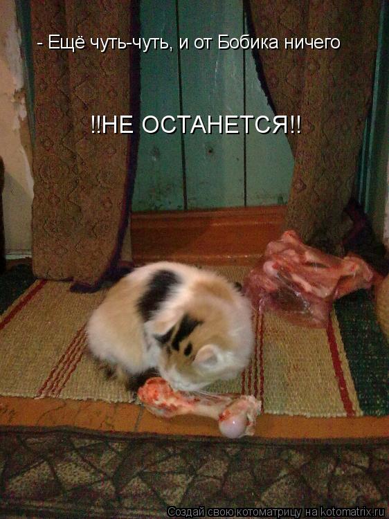 - Ещё чуть-чуть, и от Бобика ничего !!НЕ ОСТАНЕТСЯ!!... Котоматрица: - Ещё чуть-чуть, и от Бобика ничего !!НЕ ОСТАНЕТСЯ!!