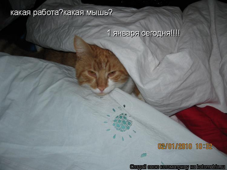 какая работа?какая мышь? 1 января сегодня!!!!... Котоматрица: какая работа?какая мышь? 1 января сегодня!!!!