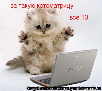 за такую котоматрицу все 10... Котоматрица: за такую котоматрицу все 10