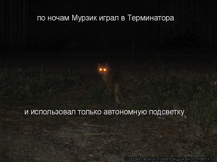 по ночам Мурзик играл в Терминатора и использовал только автономную подсветку... Котоматрица: по ночам Мурзик играл в Терминатора и использовал только автономную подсветку