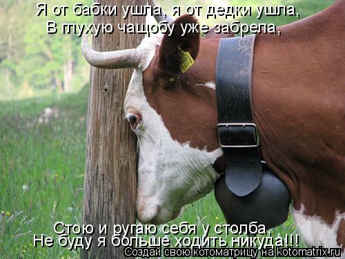 Я от бабки ушла, я от дедки ушла, В глухую чащобу уже забрела, Стою и ругаю себя у столба, Не буду я ... Котоматрица: Я от бабки ушла, я от дедки ушла, В глухую чащобу уже забрела, Стою и ругаю себя у столба, Не буду я больше ходить никуда!!!