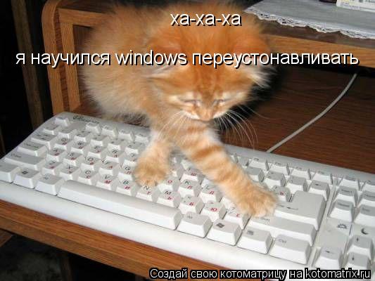 ха-ха-ха я научился windows переустонавливать... Котоматрица: ха-ха-ха я научился windows переустонавливать
