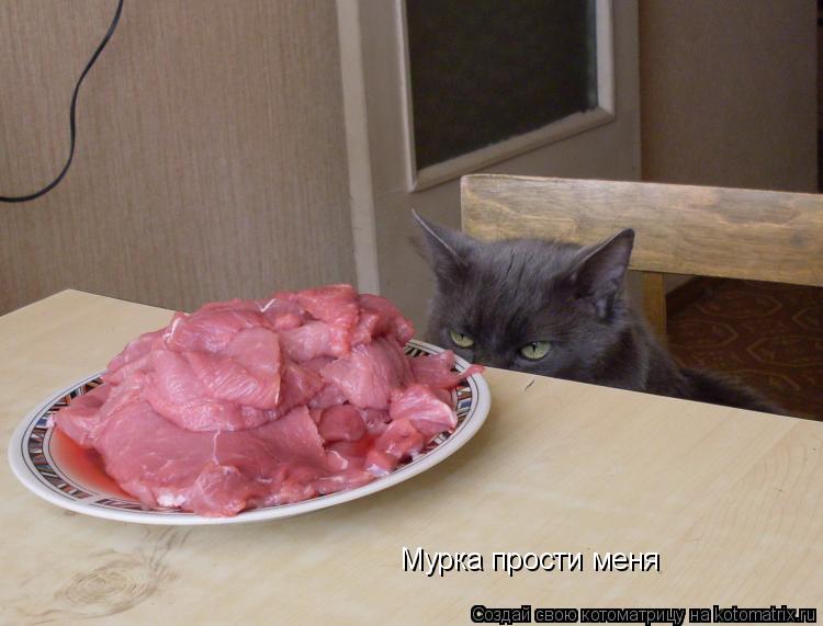Мурка прости меня... Котоматрица: Мурка прости меня