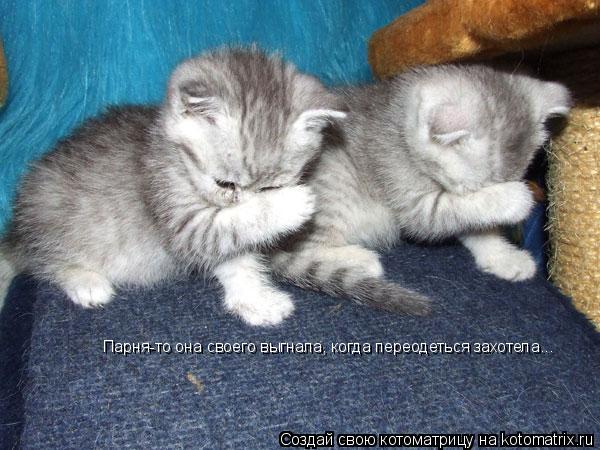 Парня-то она своего выгнала, когда переодеться захотела...... Котоматрица: Парня-то она своего выгнала, когда переодеться захотела...