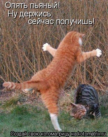 Опять пьяный! Ну держись, сейчас получишь!... Котоматрица: Опять пьяный! Ну держись, сейчас получишь!