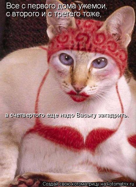 Все с первого дома ужемои, с второго и с третего тоже, а счетвертого еще надо Ваську закадрить.... Котоматрица: Все с первого дома ужемои, с второго и с третего тоже, а счетвертого еще надо Ваську закадрить.