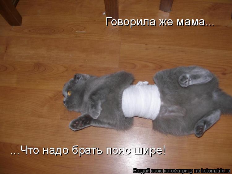Говорила же мама... ...Что надо брать пояс шире!... Котоматрица: Говорила же мама... ...Что надо брать пояс шире!
