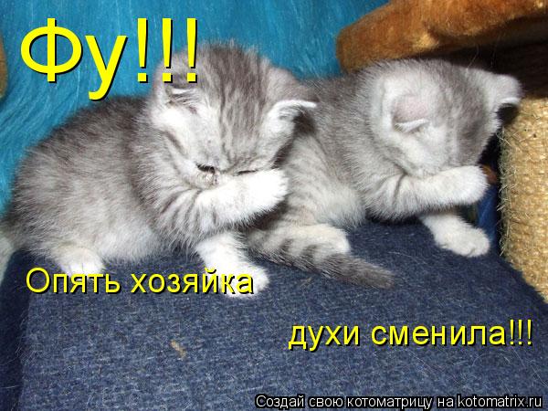 Фу!!! Опять хозяйка духи сменила!!!... Котоматрица: Фу!!! Опять хозяйка духи сменила!!!
