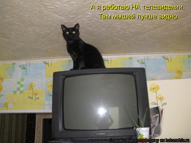 Котоматрица: А я работаю НА телевидении. Там мышей лучше видно.