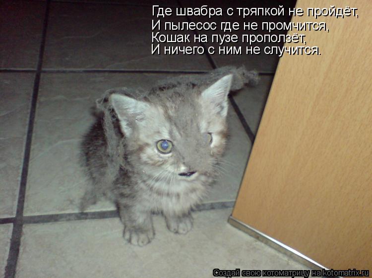 Где швабра с тряпкой не пройдёт, И пылесос где не промчится, Кошак на пузе проползёт, И ничего с ним ... Котоматрица: Где швабра с тряпкой не пройдёт, И пылесос где не промчится, Кошак на пузе проползёт, И ничего с ним не случится.