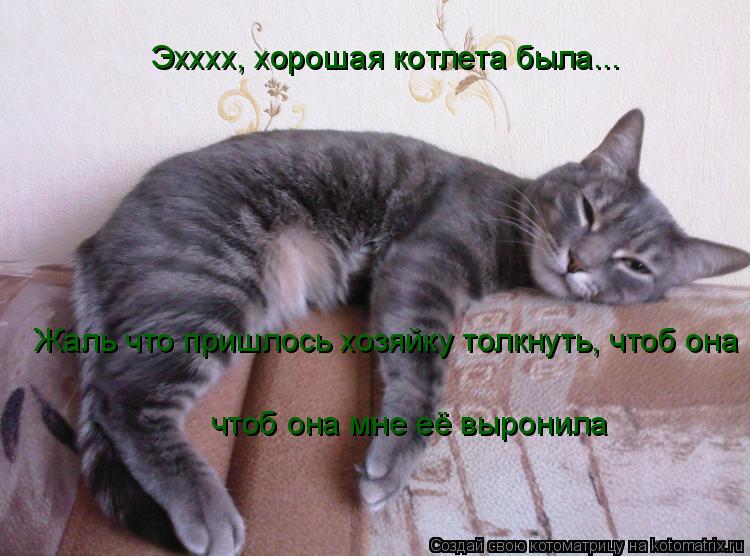 Эхххх, хорошая котлета была... Жаль что пришлось хозяйку толкнуть, чтоб она чтоб она мне её выронил... Котоматрица: Эхххх, хорошая котлета была... Жаль что пришлось хозяйку толкнуть, чтоб она чтоб она мне её выронила
